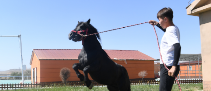 918博天堂(中国游)最新官方网站