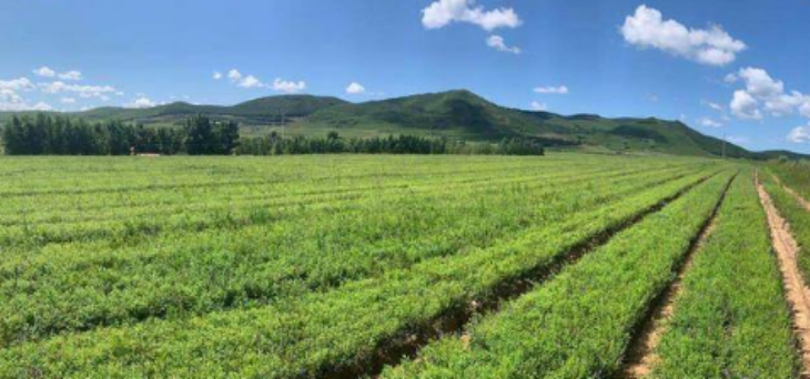 918博天堂(中国游)最新官方网站