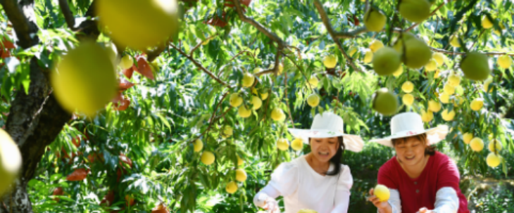 918博天堂(中国游)最新官方网站