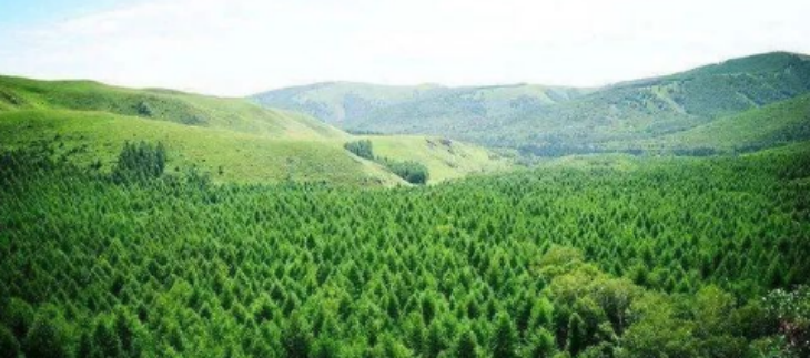 918博天堂(中国游)最新官方网站