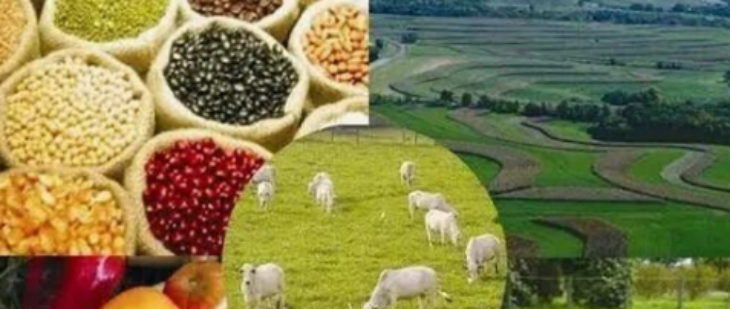 918博天堂(中国游)最新官方网站