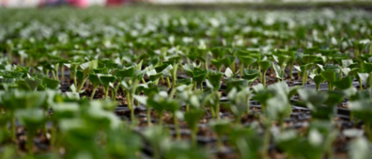 918博天堂(中国游)最新官方网站