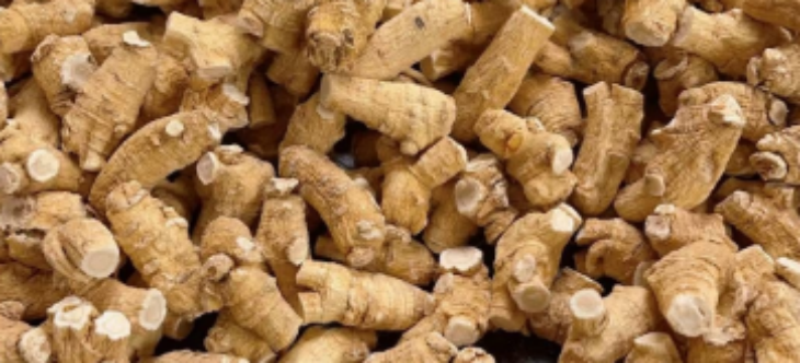 918博天堂(中国游)最新官方网站